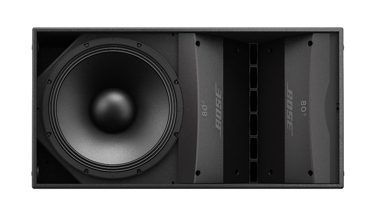 Bose ARENAMATCH AM10/100, Professional Outdoor Loudspeaker