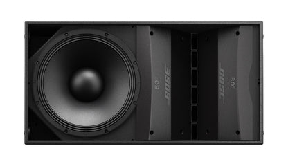 Bose ARENAMATCH AM10/100, Professional Outdoor Loudspeaker