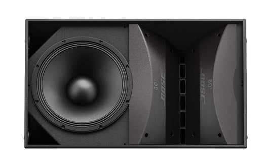 Bose ARENAMATCH AM40/100, Outdoor Loudspeaker - Black