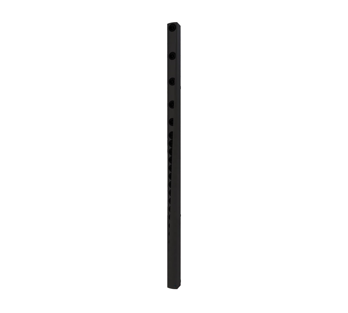 Renkus-Heinz IC32-24-RD-BK Iconyx Master Speaker w/ Dante Networking