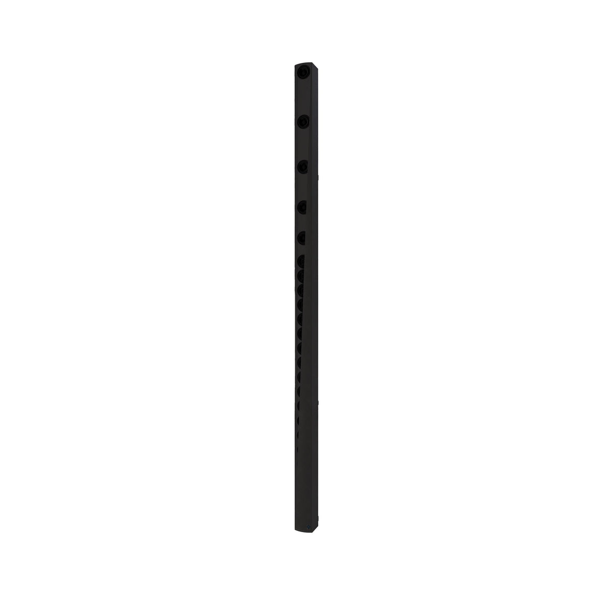 Renkus-Heinz IC32-24-RN-BK Digitally Steerable Line Array Speaker